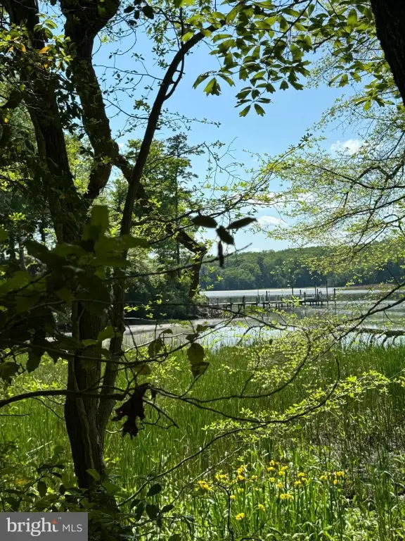 Picture 20