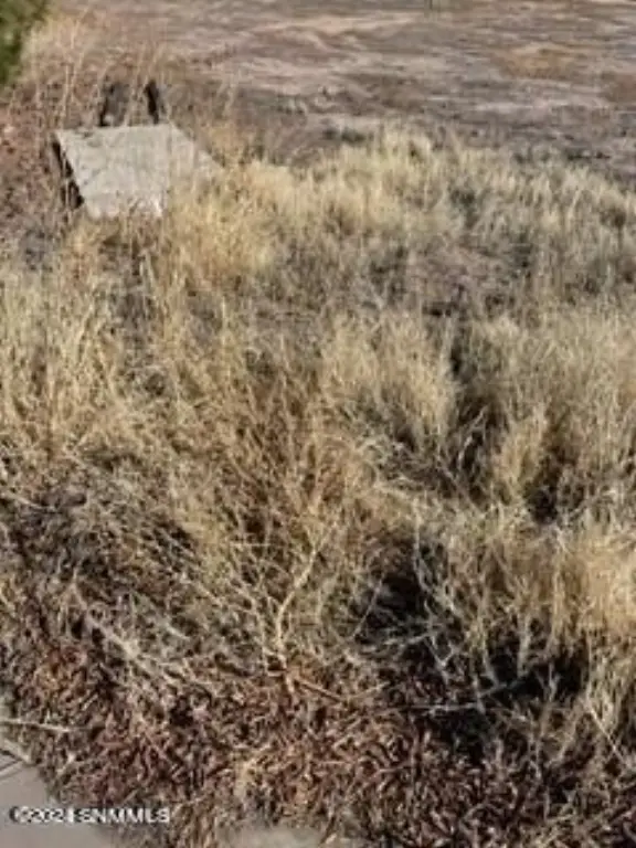 Picture 2