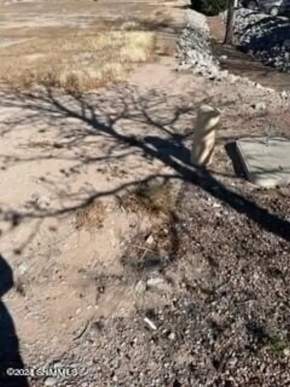 Picture 4