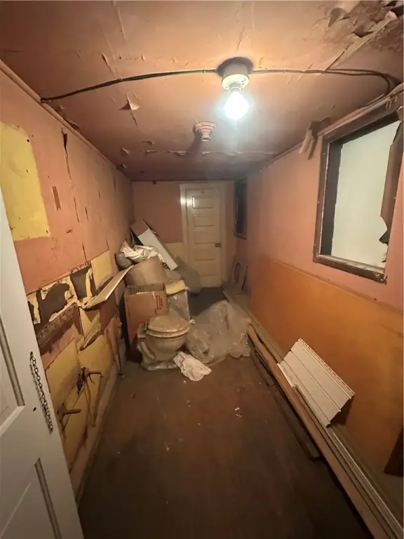 Picture 42