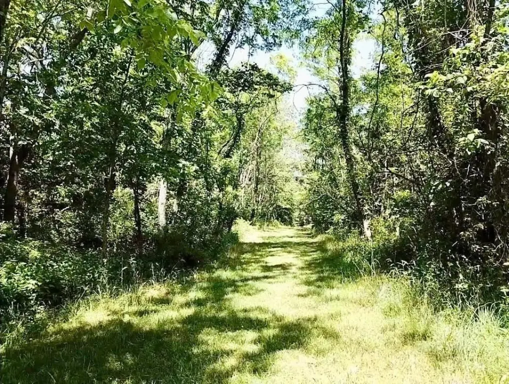 Picture 20