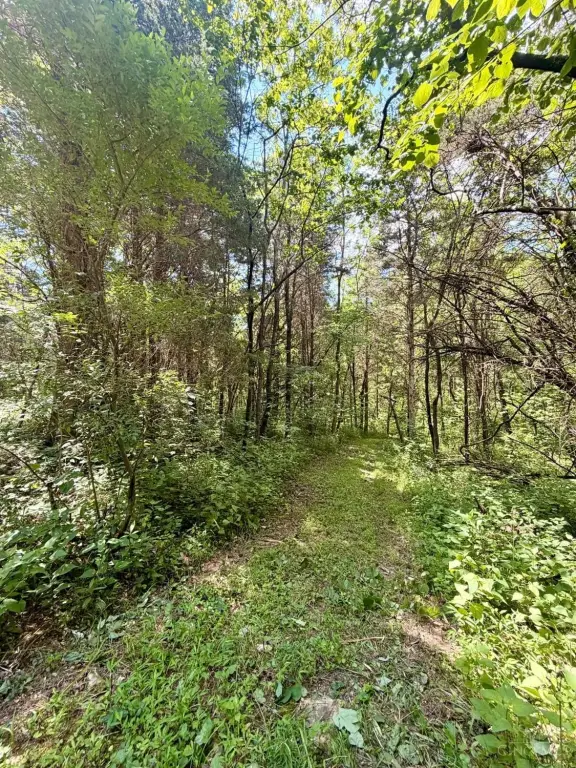 Picture 9