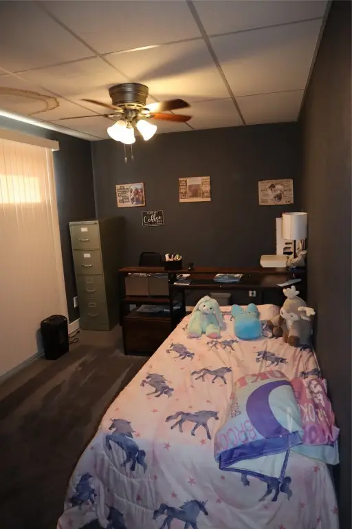 Picture 23