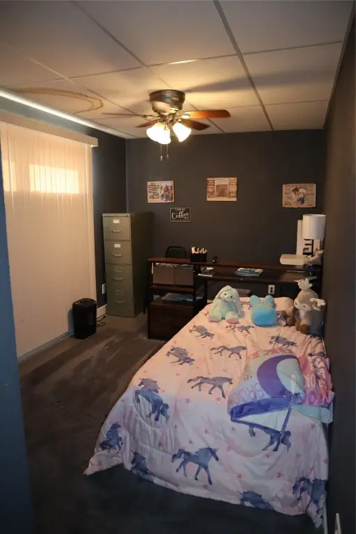 Picture 16