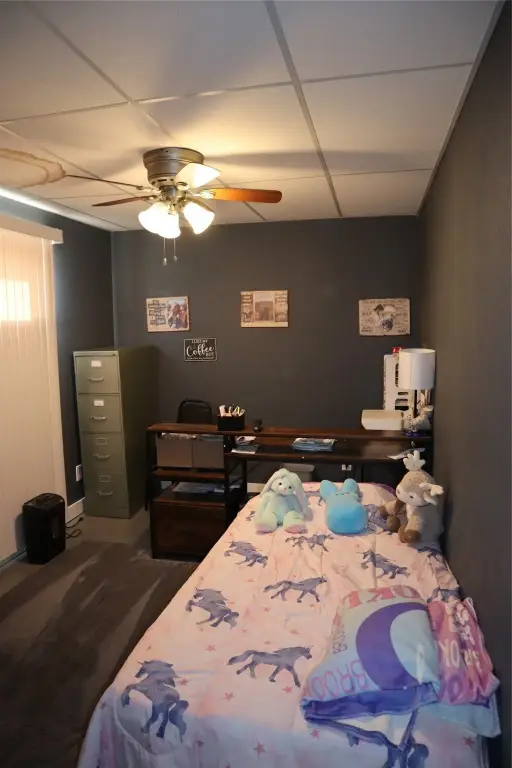 Picture 24