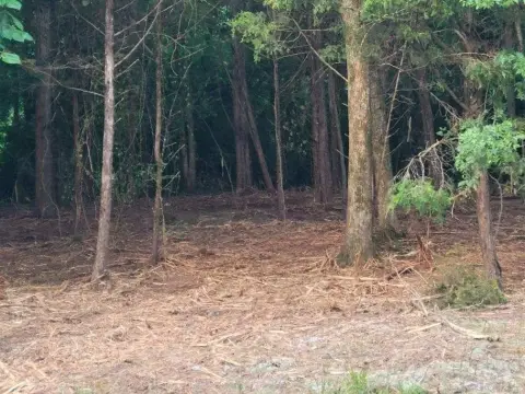 Smyrna Land: Garage, Workshop Site