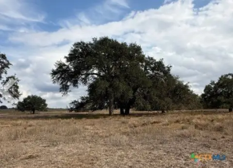 Fenced Land in Runge, Texas