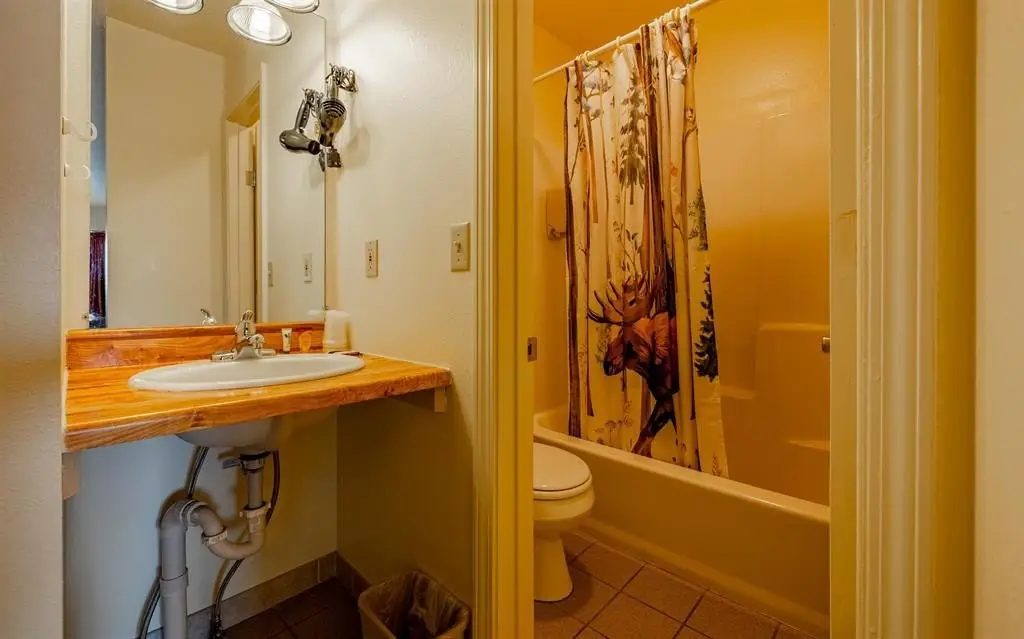 Picture 22