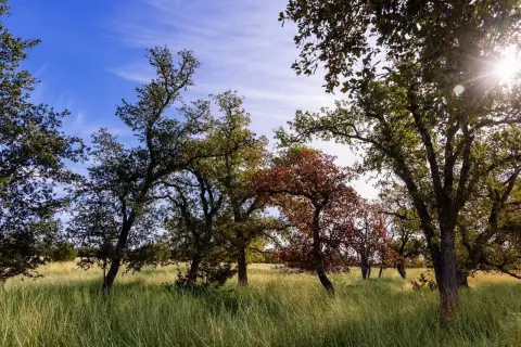 Fredericksburg Vacant Land Near Wineries