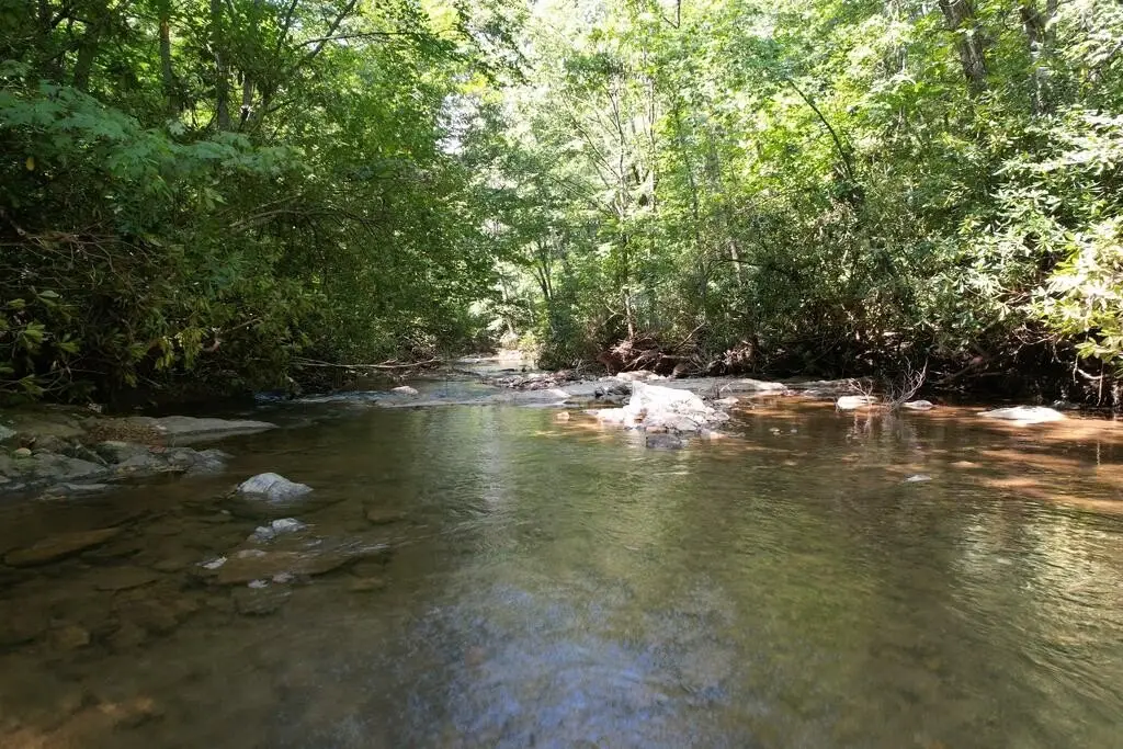 Picture 27