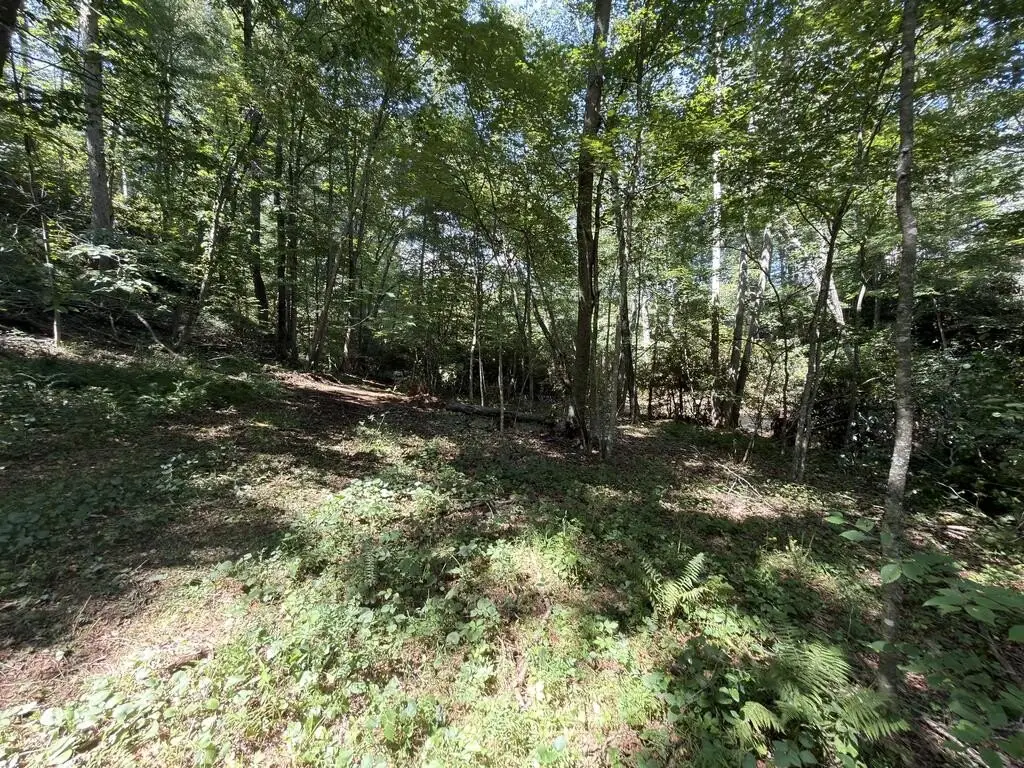 Picture 36