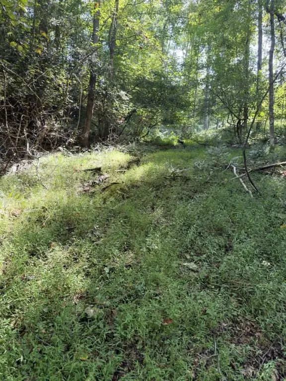 Picture 39
