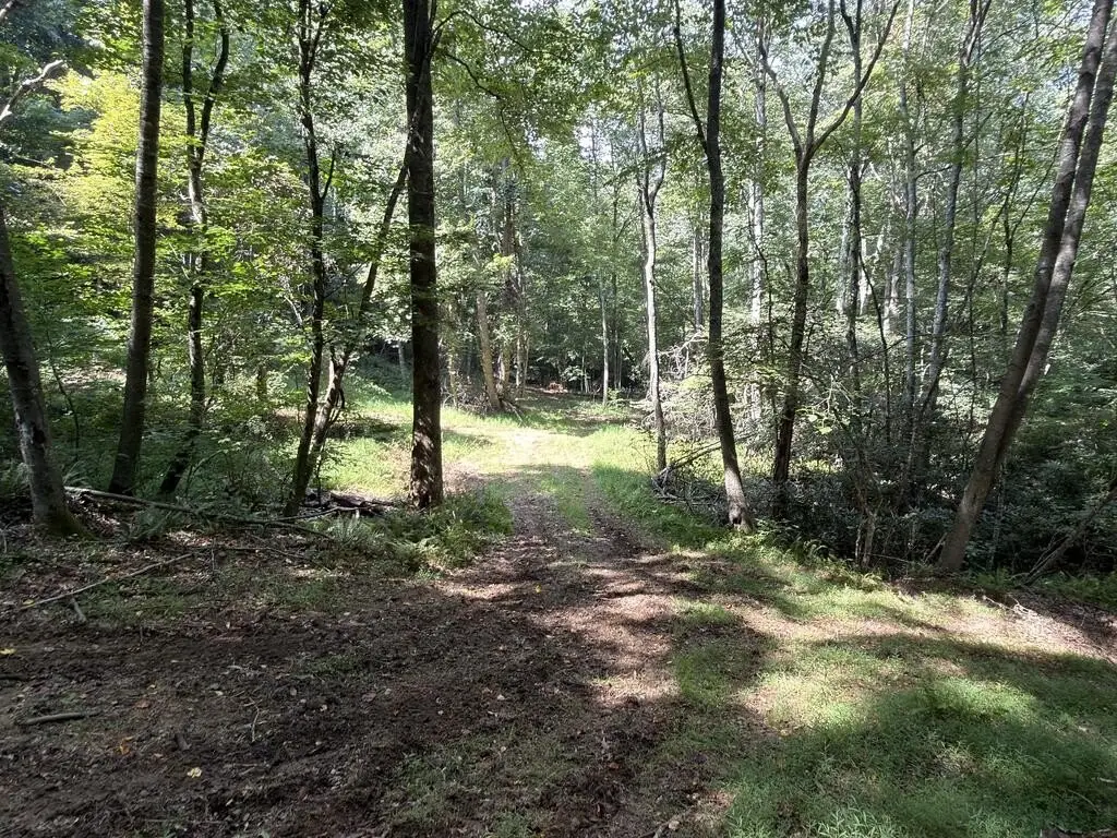 Picture 11