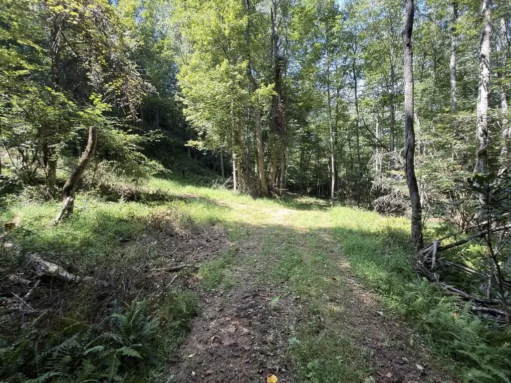 Picture 37