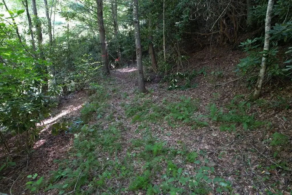 Picture 24