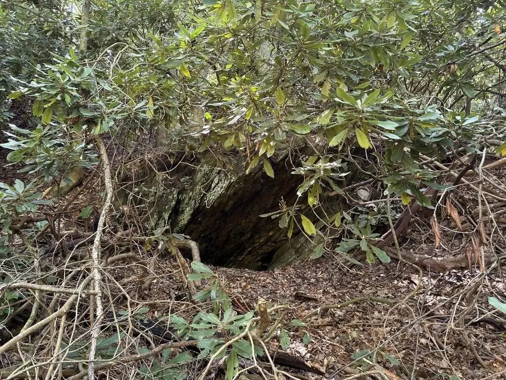 Picture 18