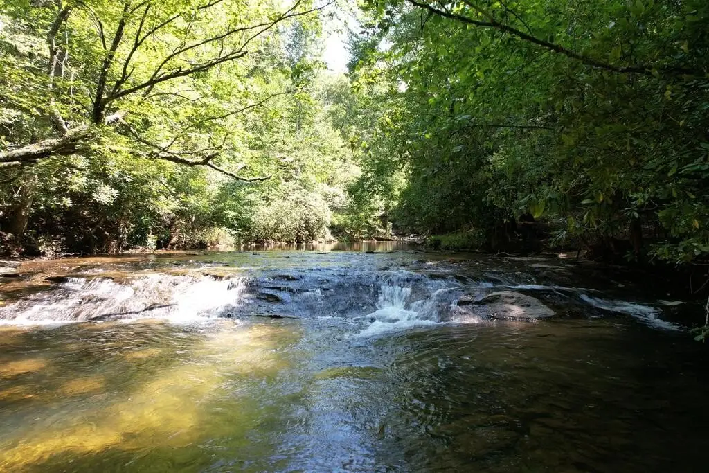 Picture 28