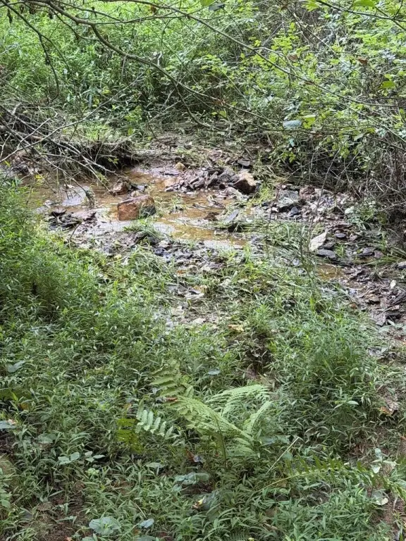 Picture 44