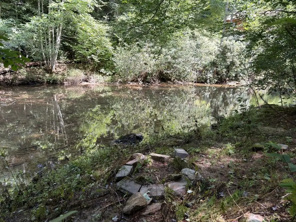 Picture 22