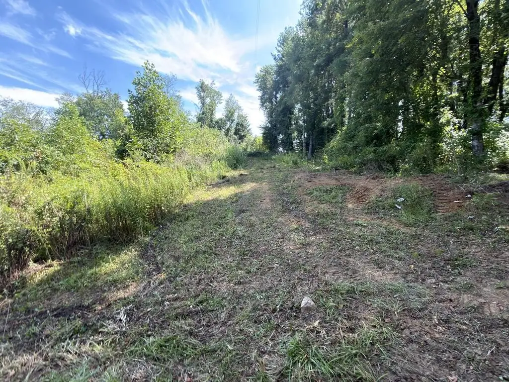 Picture 48