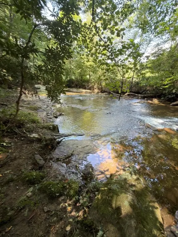 Picture 30