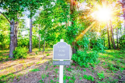 Wooded Lot in Galivants Ferry