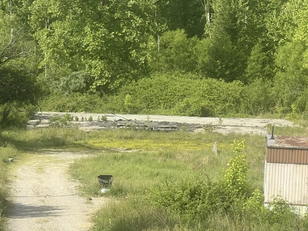 Picture 5