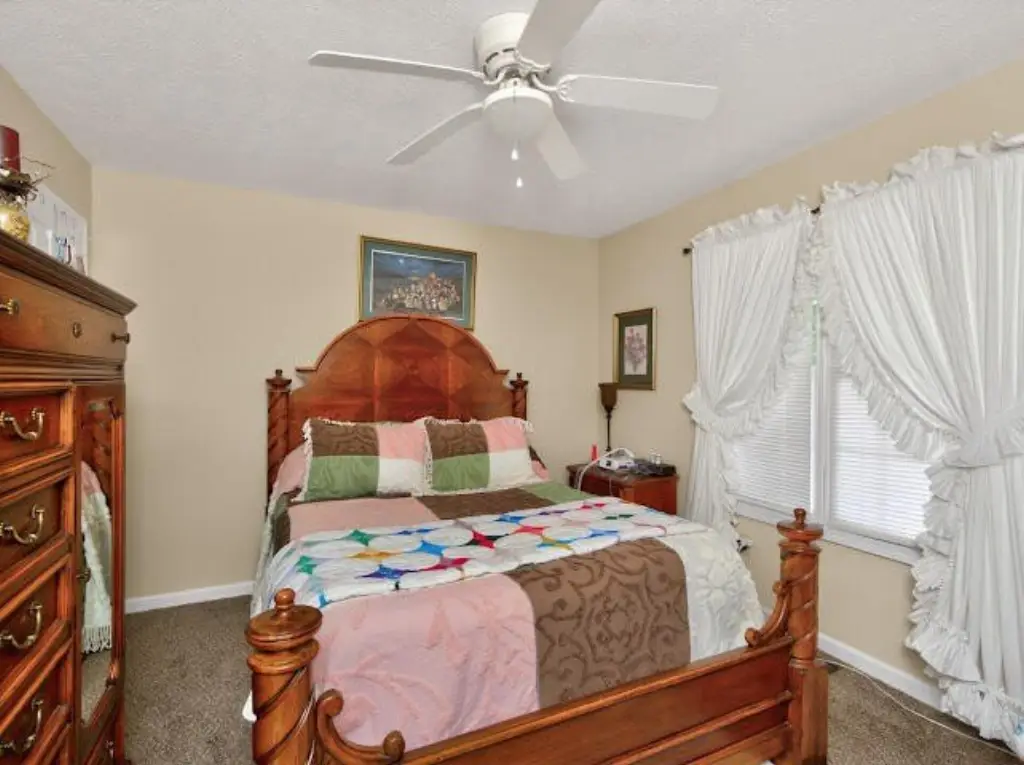 Picture 8