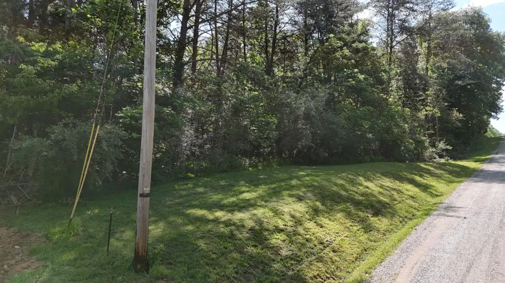 Picture 5