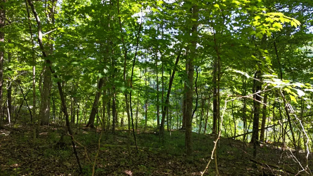 Picture 14
