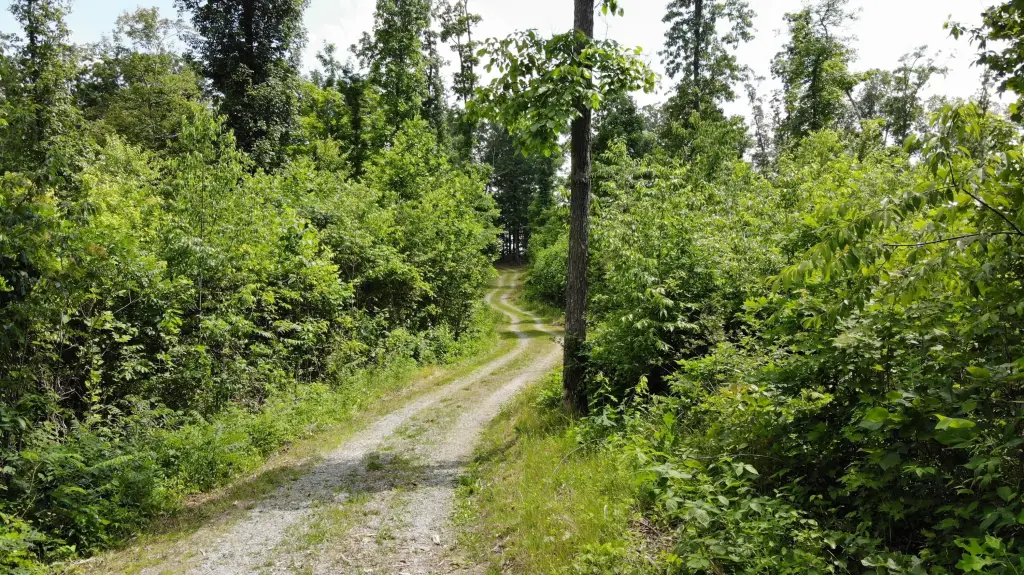 Picture 17