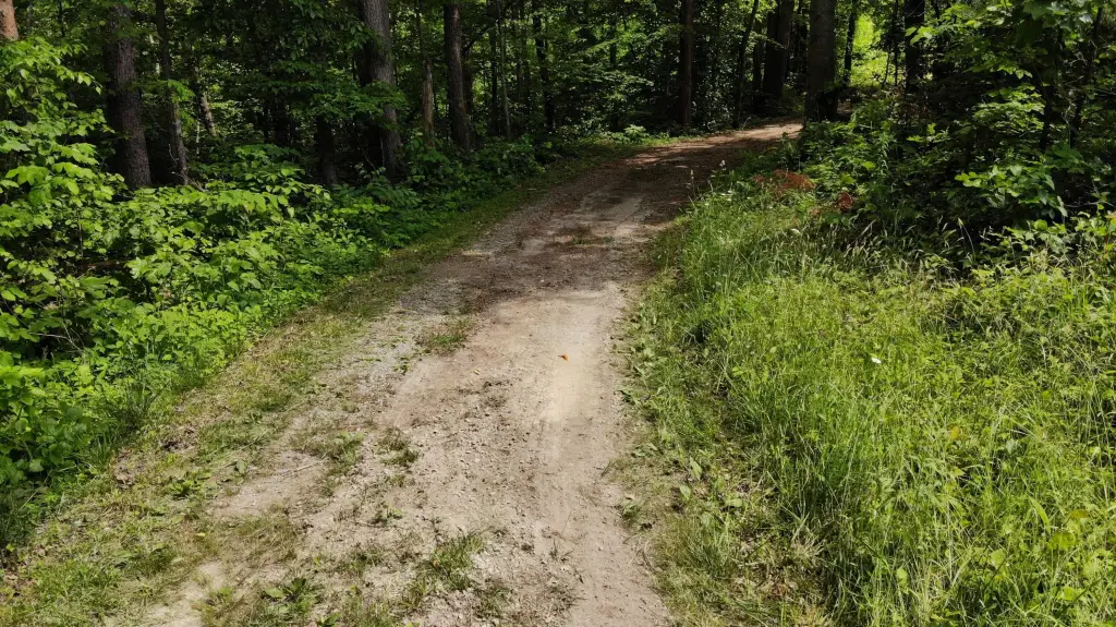 Picture 15
