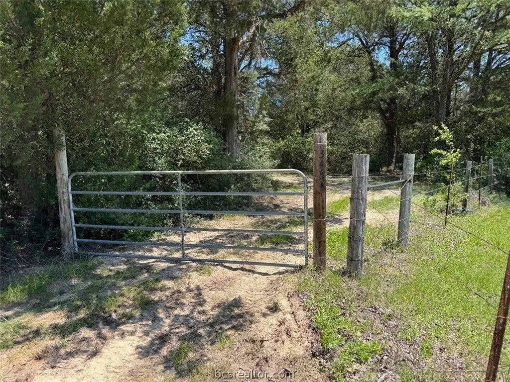 Picture 21