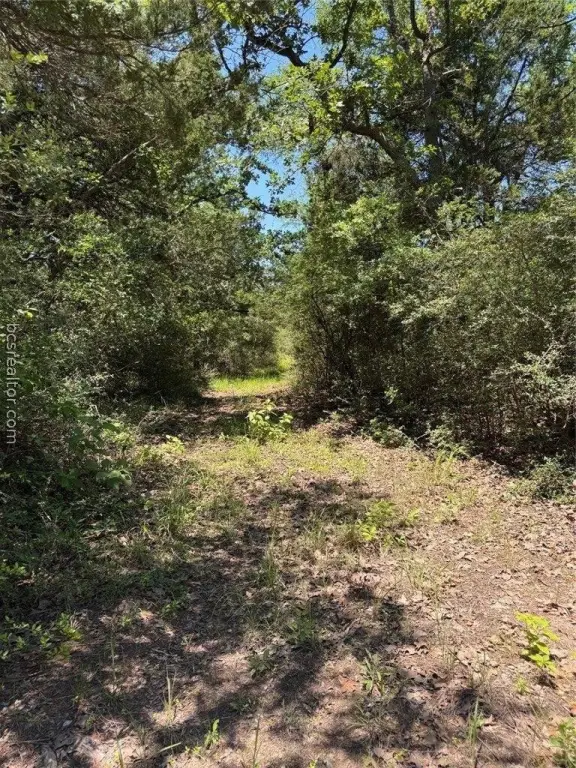Picture 23