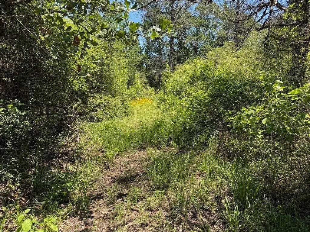 Picture 36