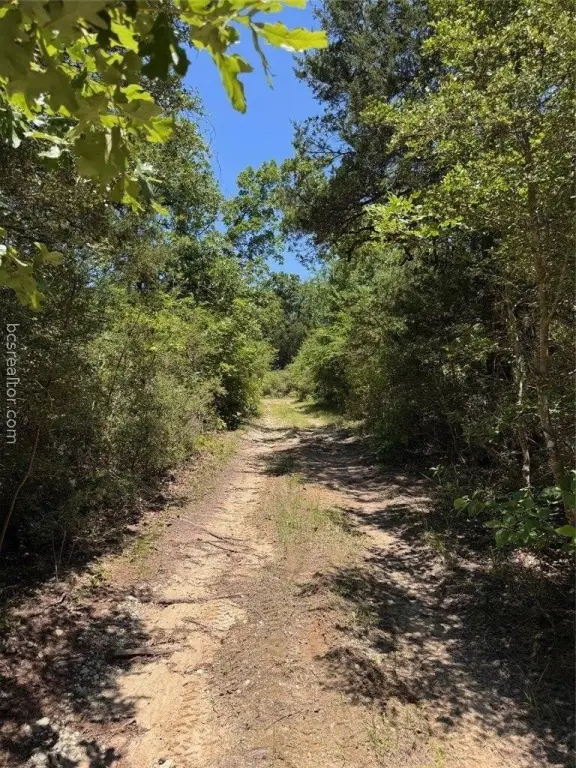 Picture 24