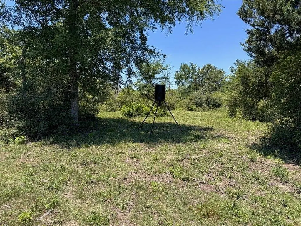 Picture 28