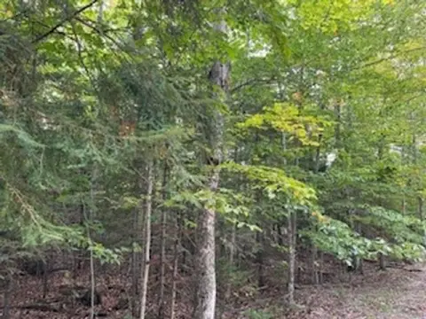 Ellison Bay Buildable Acreage