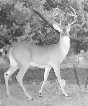 400 Acres of Versatile Land