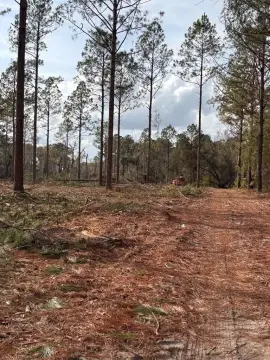 Expansive Land Parcel in Hahira