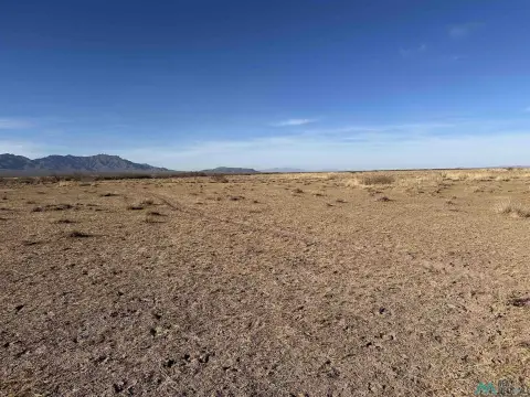 Raw Land Near Florida Mountains