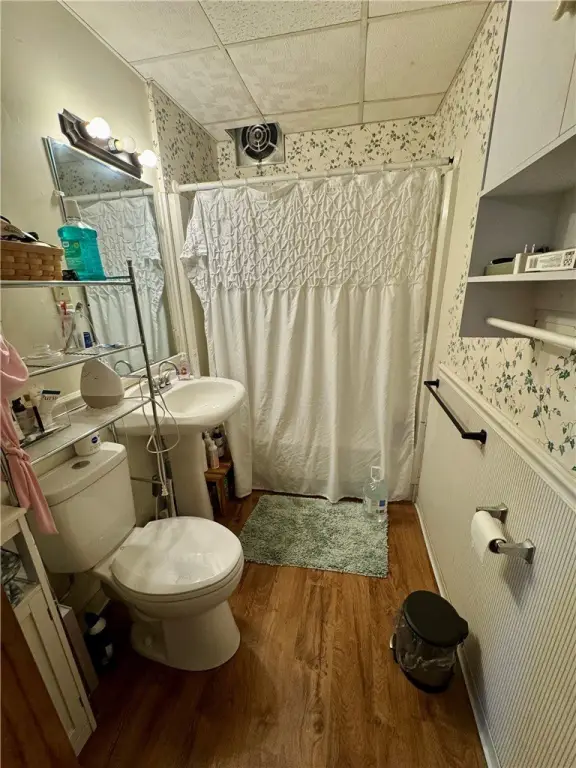 Picture 13