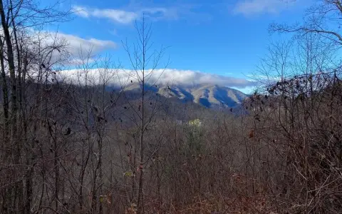 Mountain Lot in Nantahala Gorge