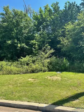 Residential Lot in Falls Creek