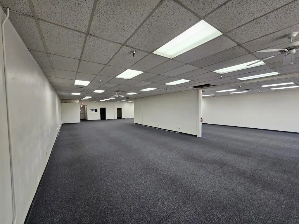 Picture 12