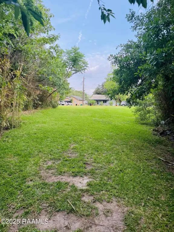 Picture 4