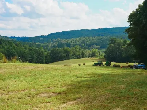 Pasture and Woodland Farmland