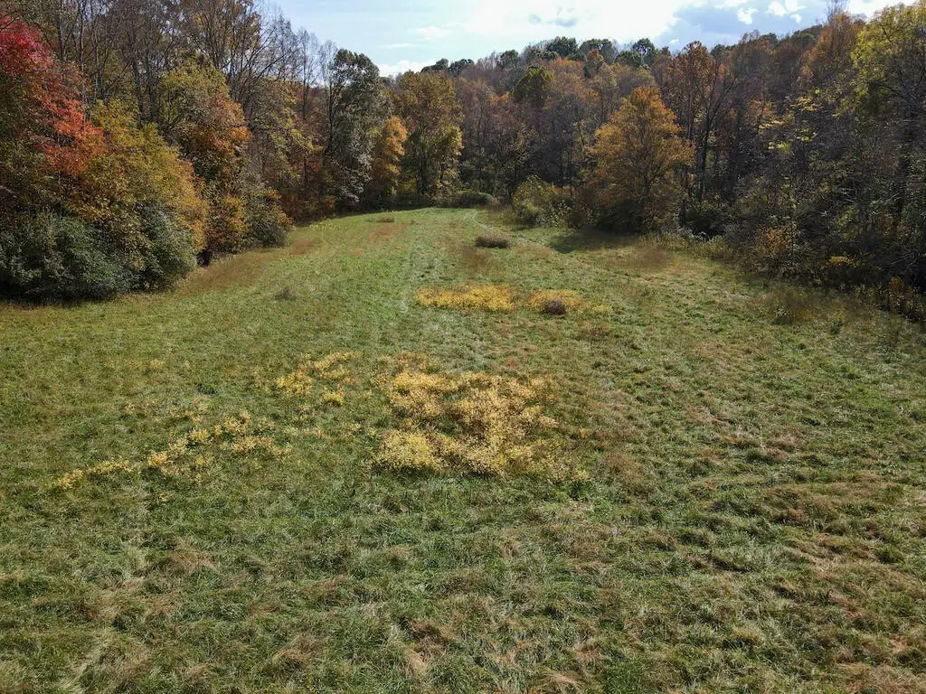 Picture 21