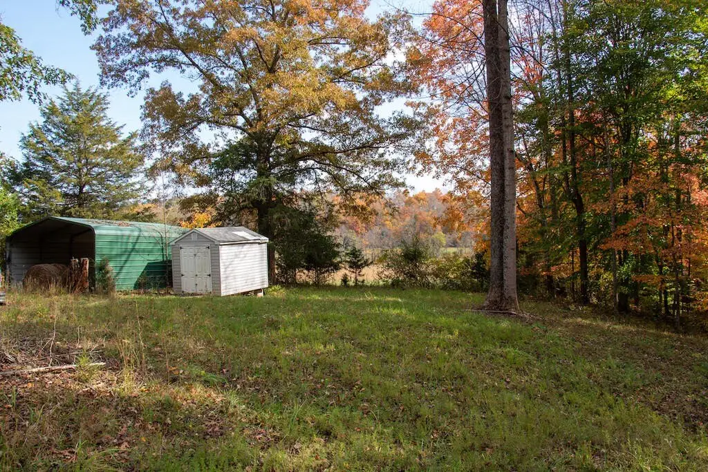Picture 20