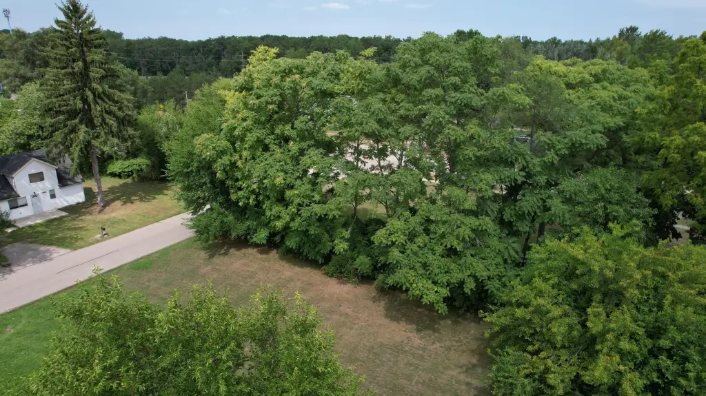 Picture 6